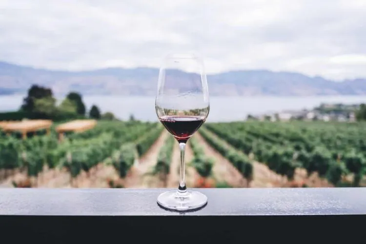 BC VQA Wine