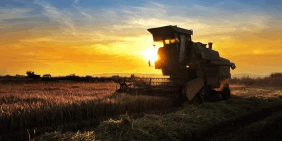 Agribusiness