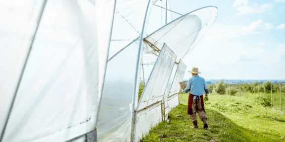 Agriculture and Agrifood Temporary Foreign Workers