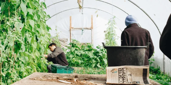 Agriculture Industry