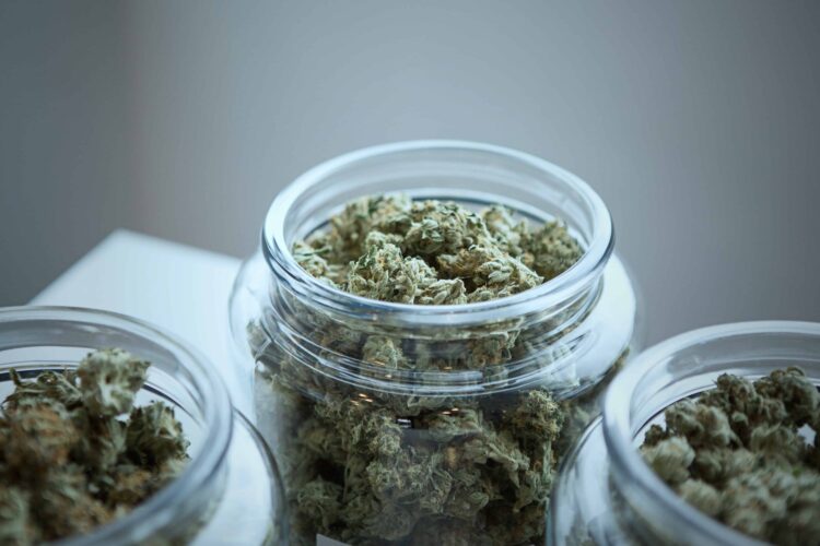 Cannabis Retail