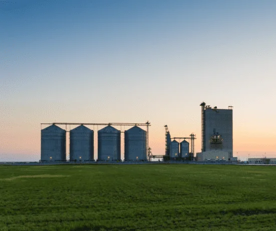 Grain Contracts
