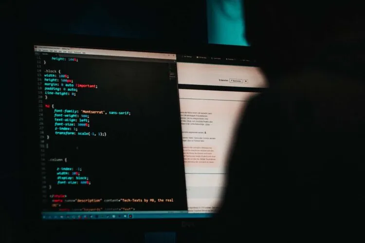 a cybercriminal perpetrating cybercrimes