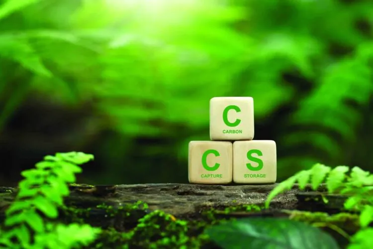 CCS building blocks