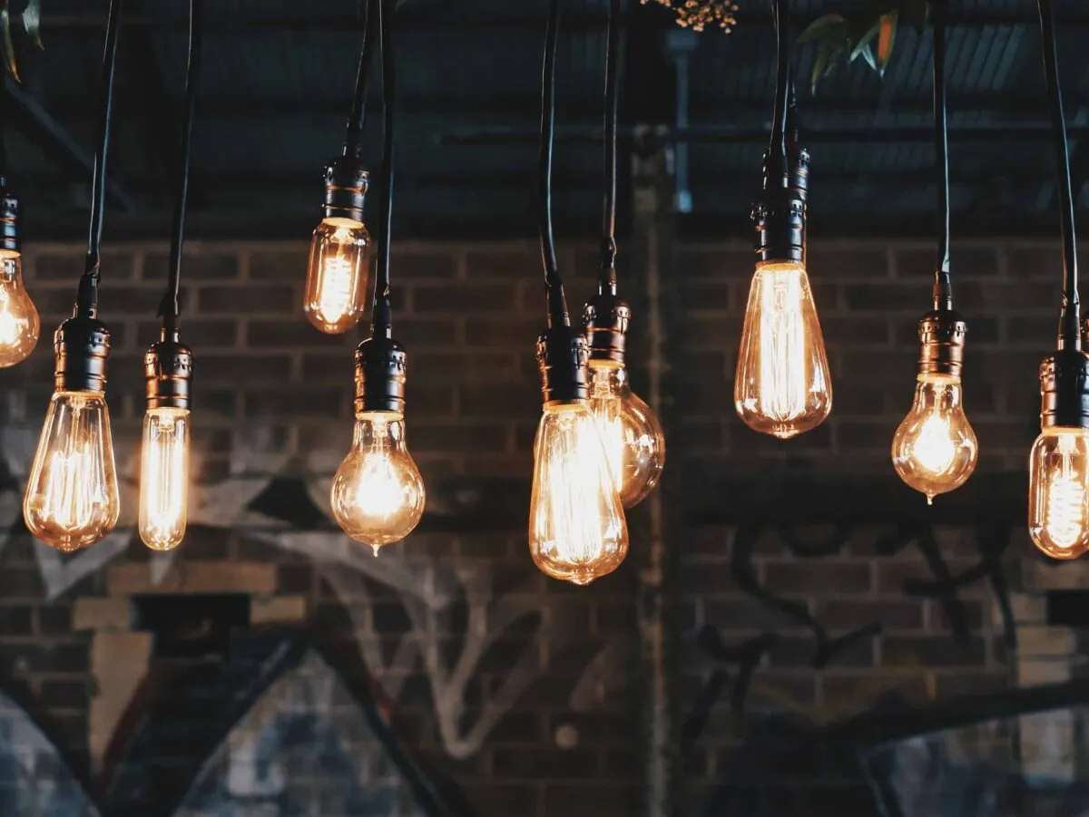 multiple exposed lightbulbs dangling from a ceiling