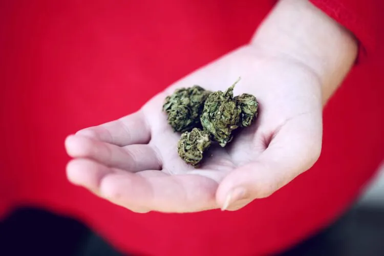 Canadian legal cannabis industry