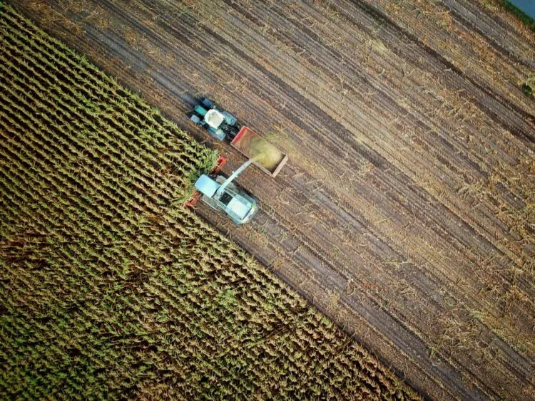 a truck harvesting crops