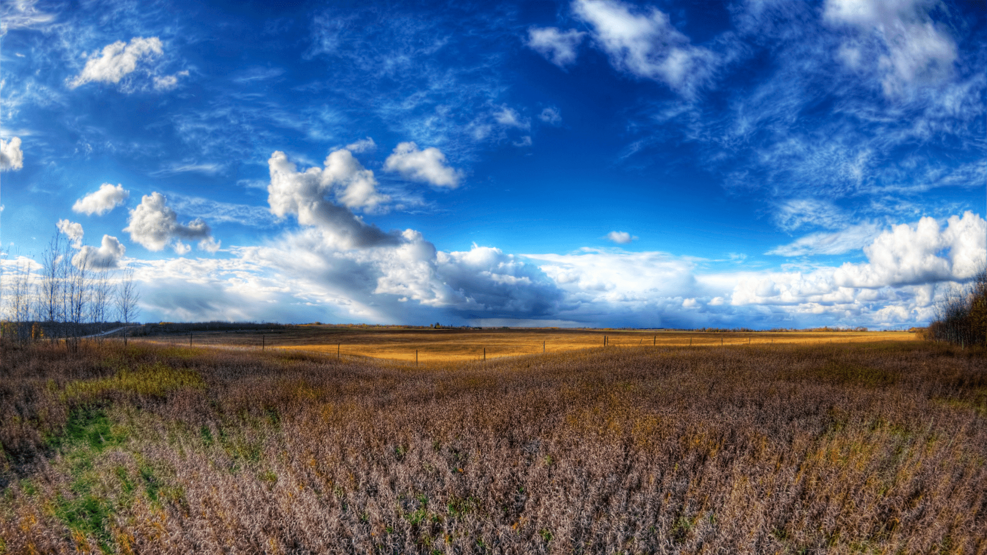 northern alberta