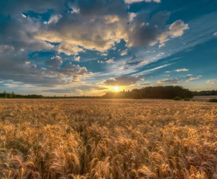 Alberta land