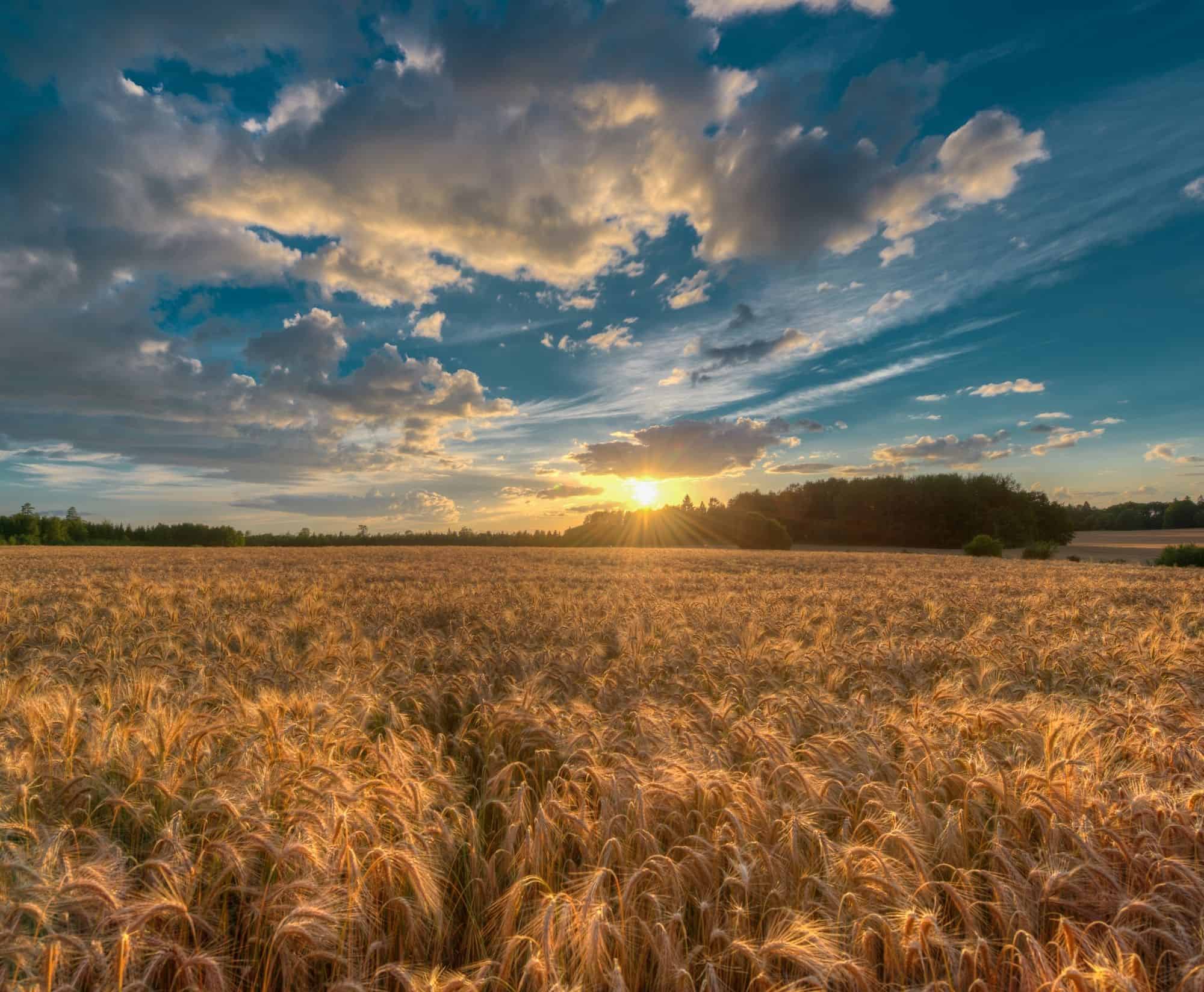 Alberta land