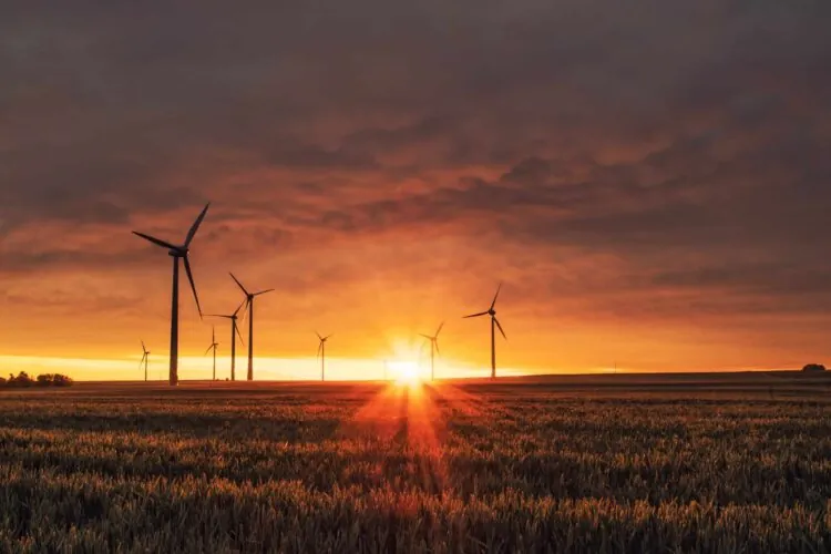 windmills