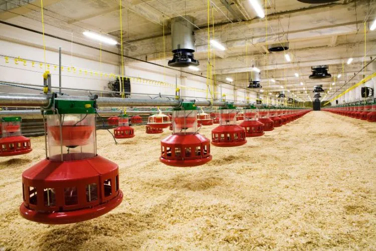 Agtech