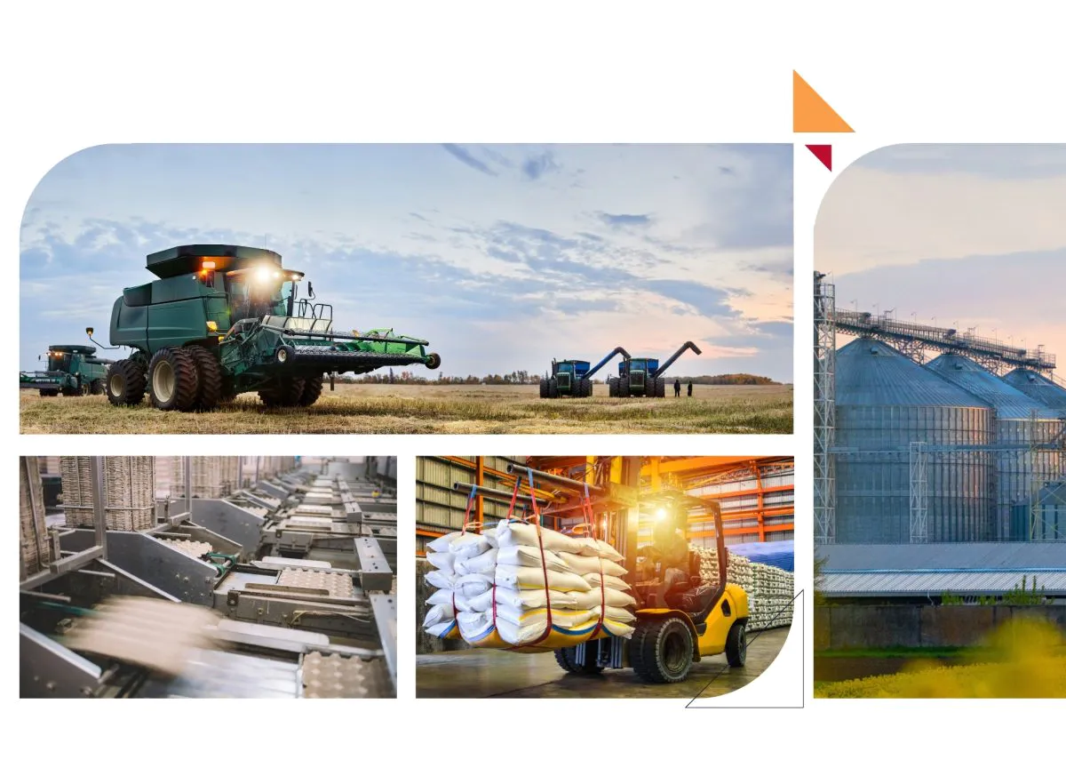 Collage of agricultural scenes, including a combine in a field, grain processing plant, and seed bags being moved on a pallet in a warehouse.