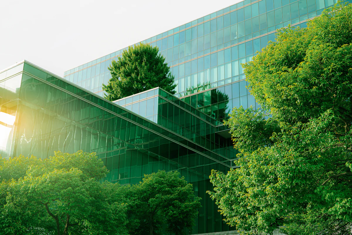 Greenery reflected in office building windows