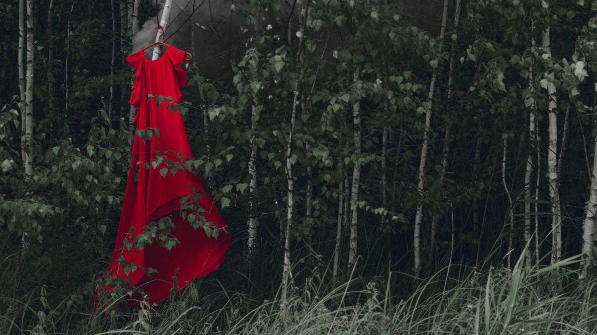 A photo of an empty red dress hanging from a tree in a forest.