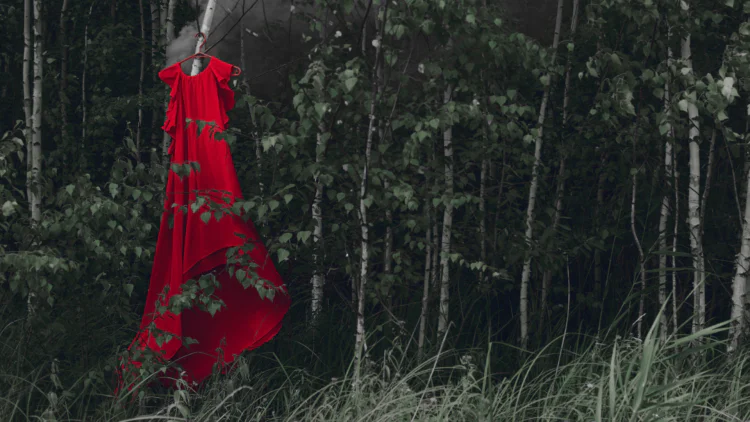 A photo of an empty red dress hanging from a tree in a forest.