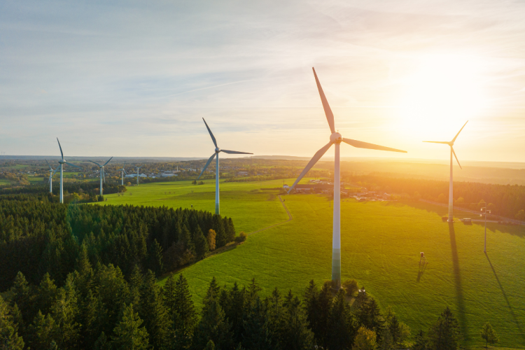 Energy windmills at sunset in a Southern Manitoba fiels