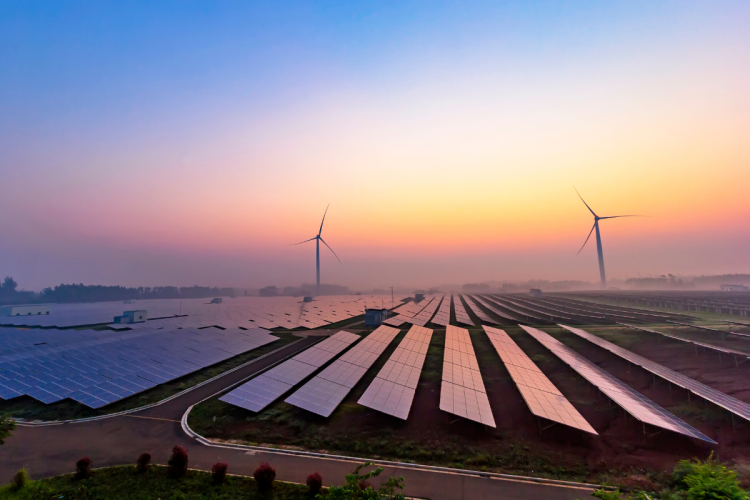 A sunset photo of a solar energy farm with windmills in the background