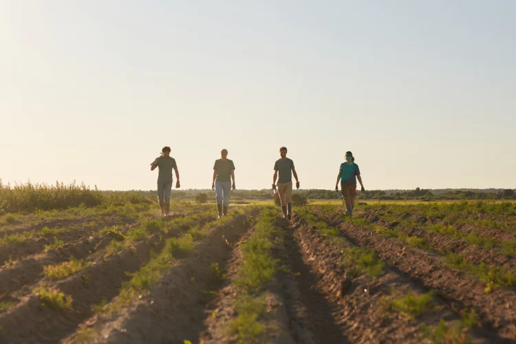 Four farmers in a field at sunset