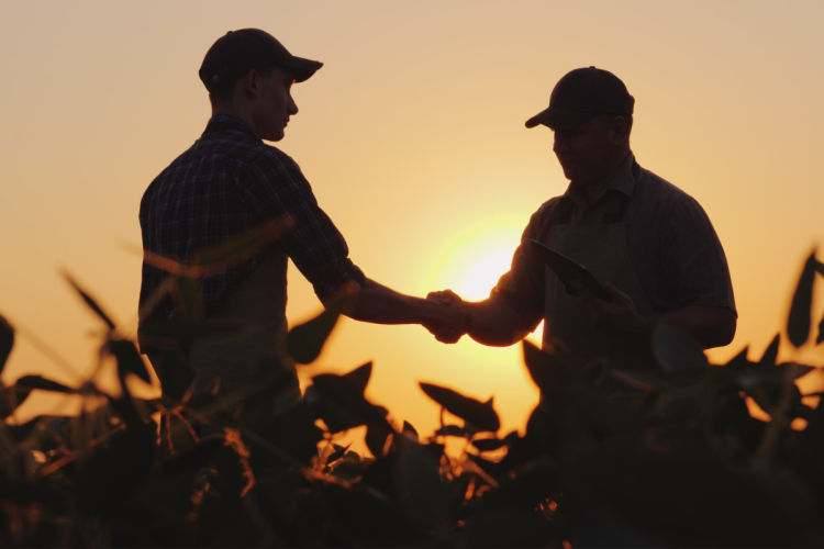 Two farmers shaking hands in a field at sunset