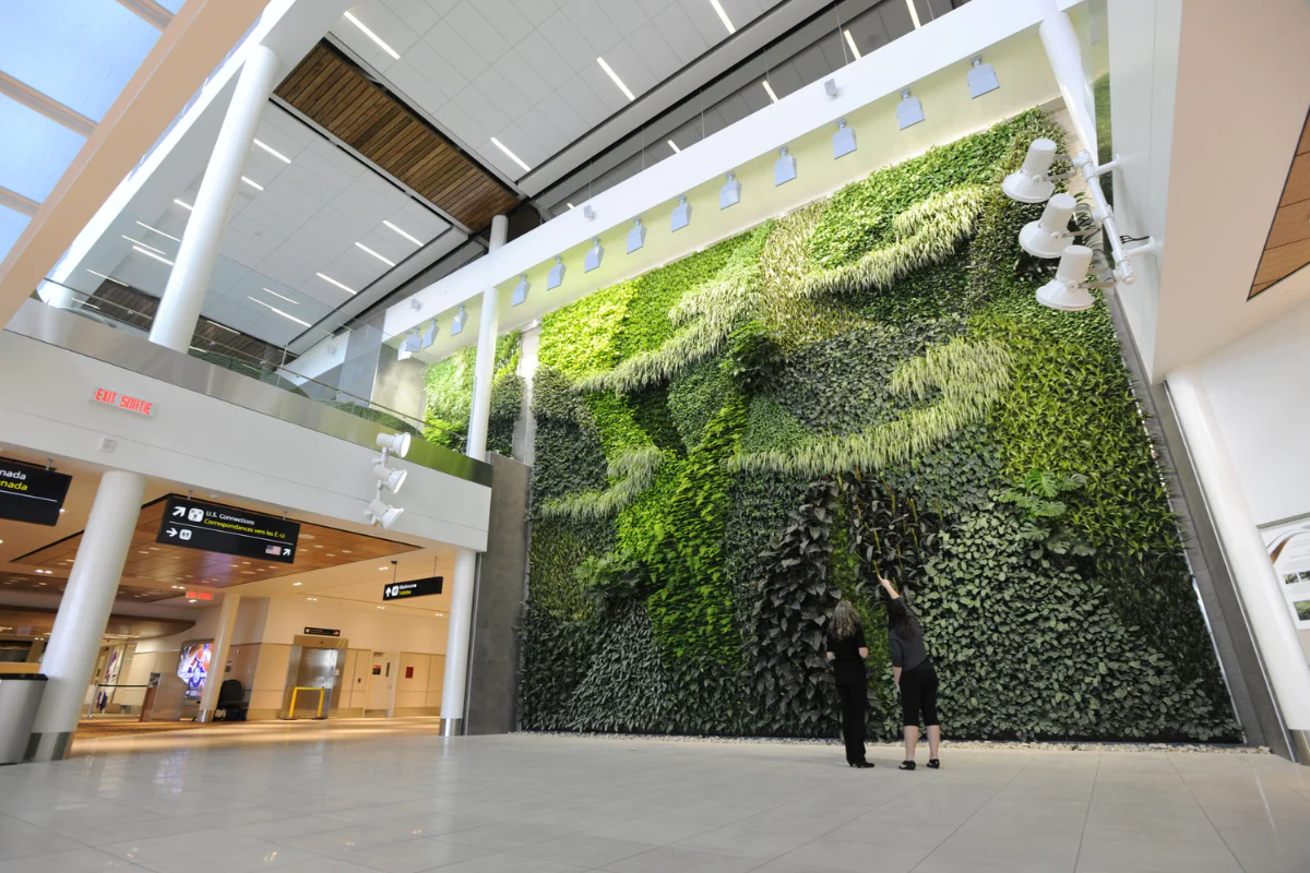 A photo of the plant wall at the Edmonton International Airport