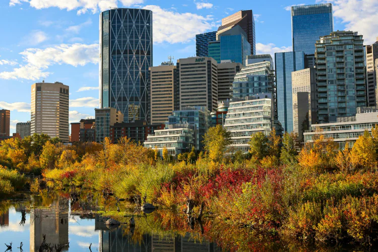 A photo of the Calgary cityscape in the autumn