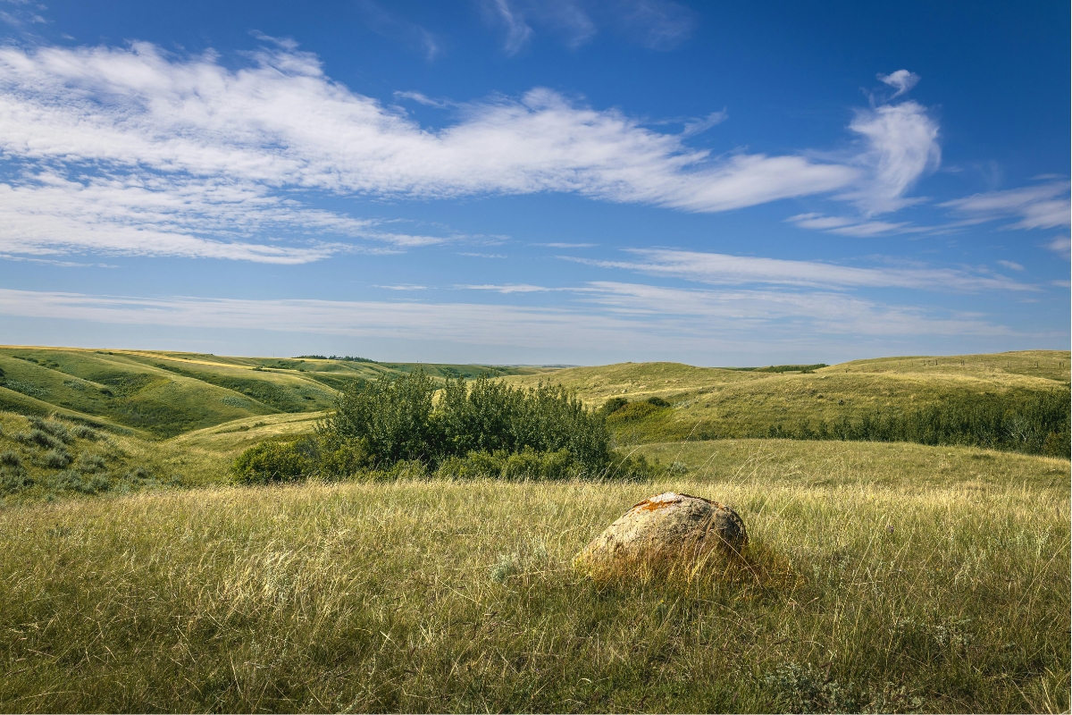 Rolling hills in Saskatchewan on a sunny day