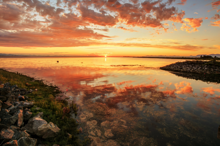 The coast of Delta, British Columbia, at sunset