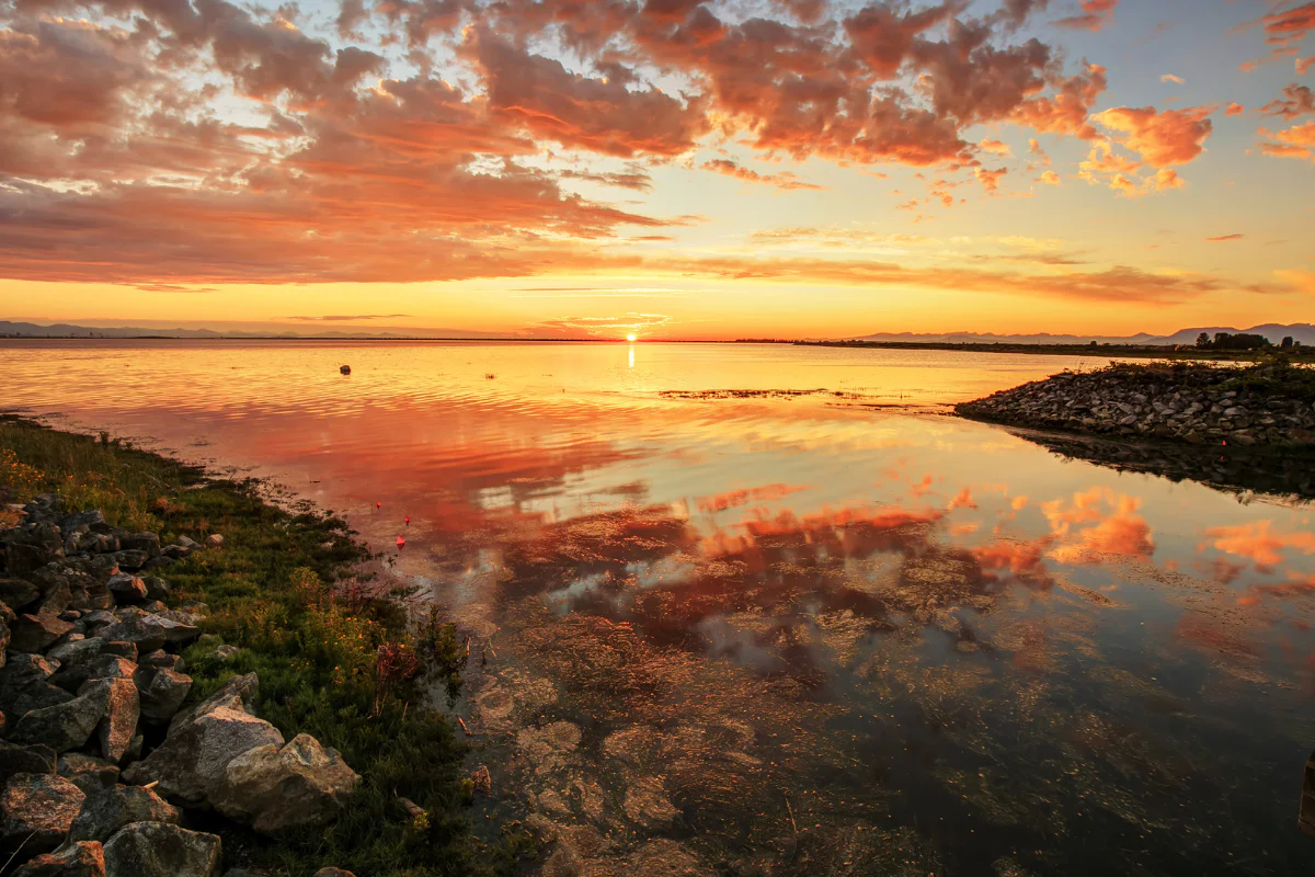 The coast of Delta, British Columbia, at sunset