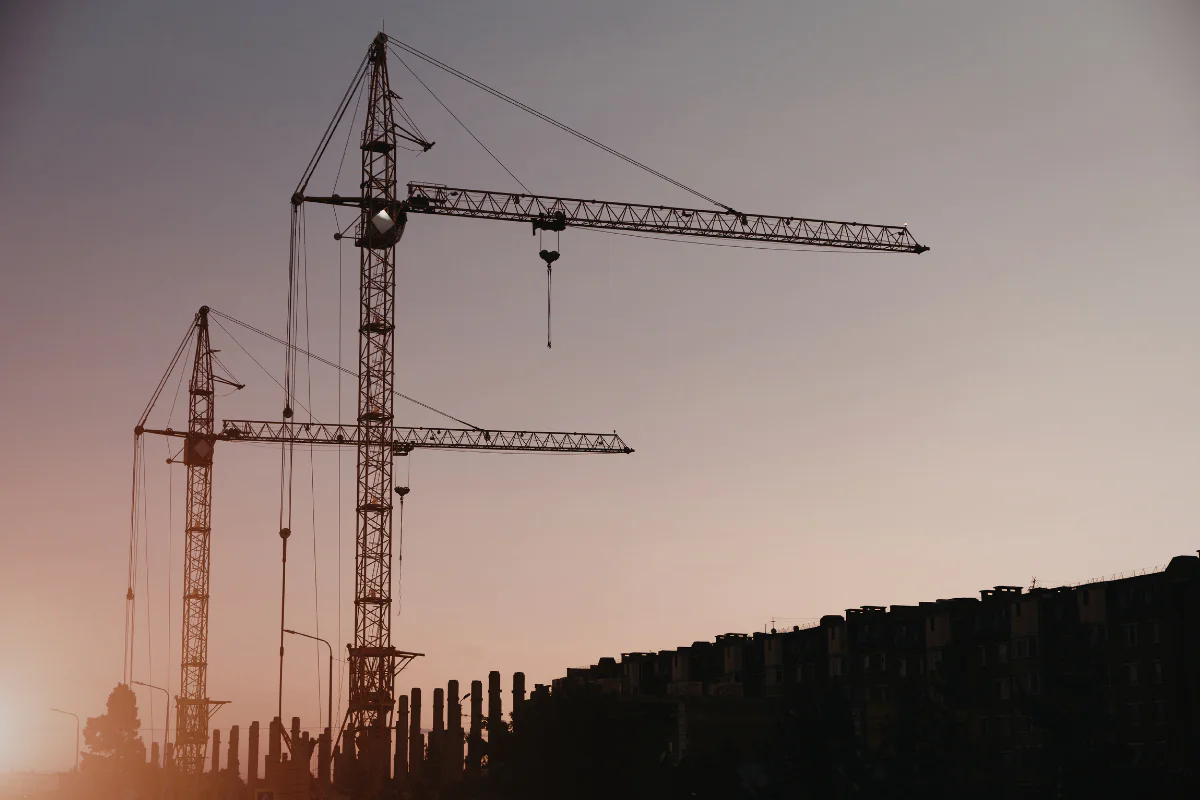 Two cranes at sunset