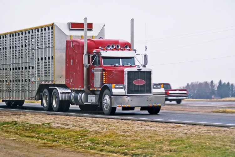 A semi truck driving down a rural highway