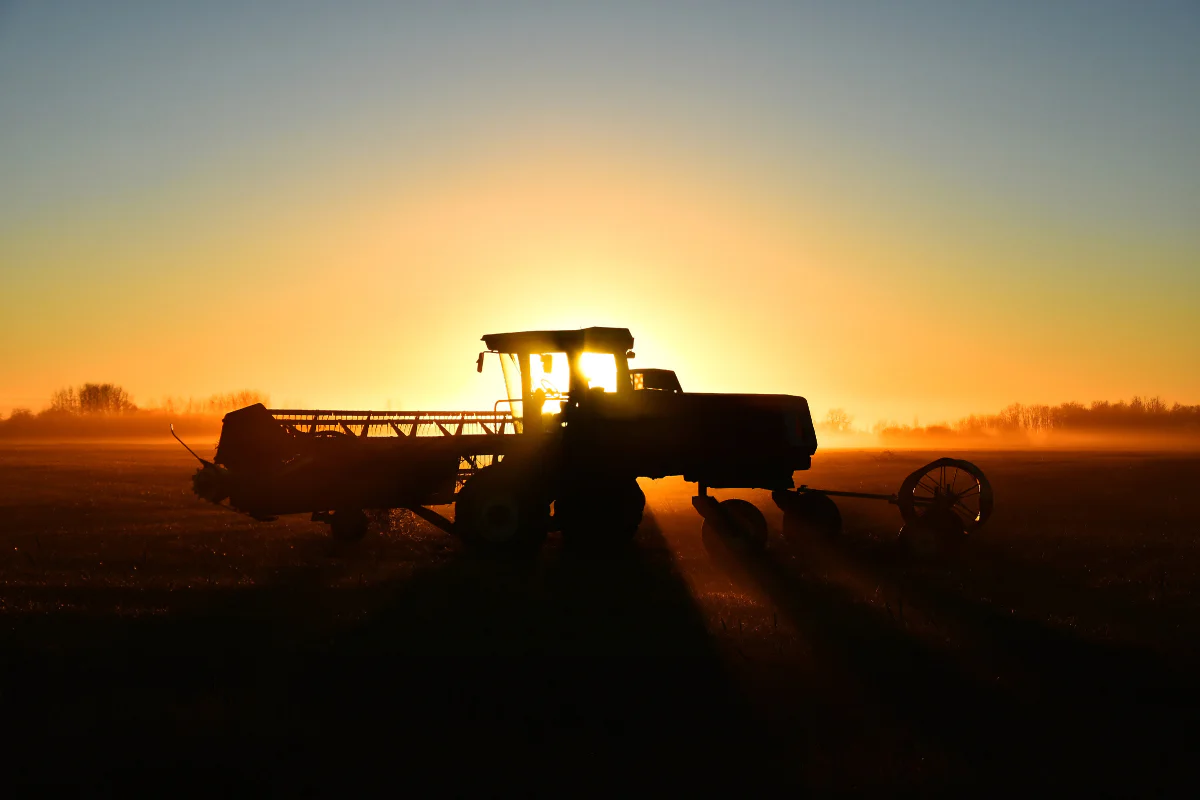 A combine at sunrise in a field