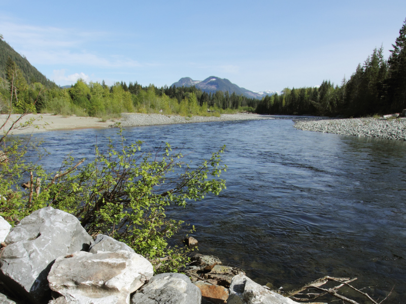 A BC riverbank during the day