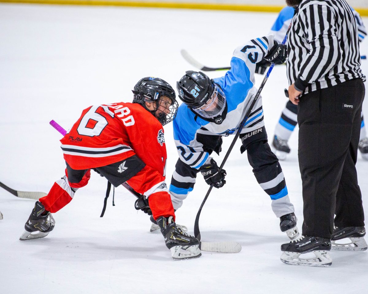 Two youth hockey players facing off on the ice