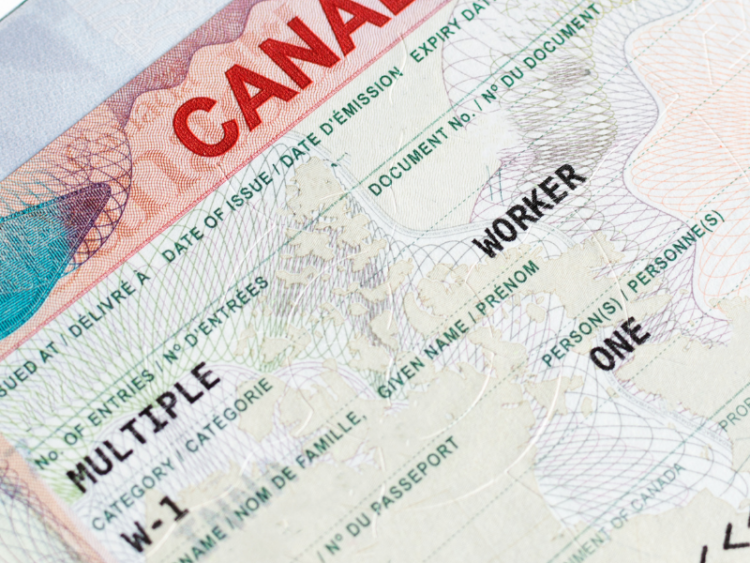 A close up photo of a Canadian Worker's visa