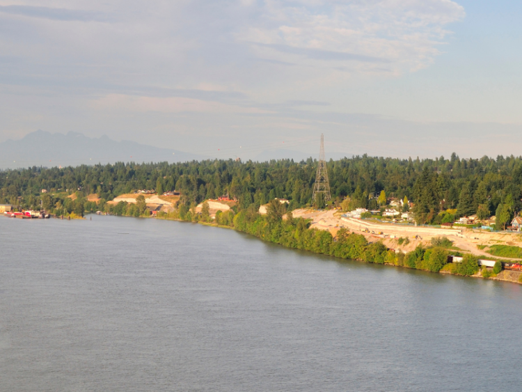 The coast at Delta, British Columbia